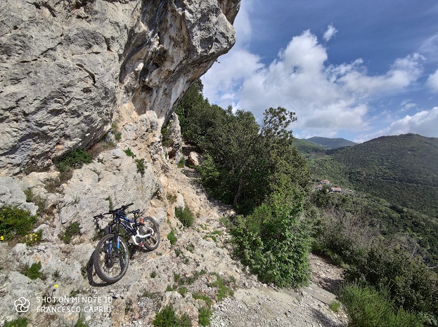 categoria:BICICLETTA